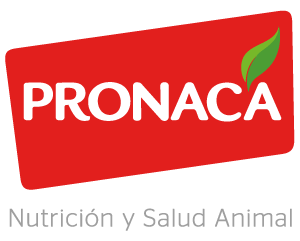Pronaca